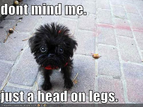 dont mind me