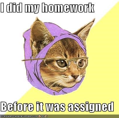 Hipster Kitty: What a Teacher's Pet