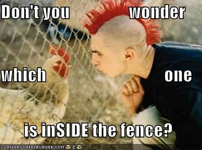 Don't you                 wonder which                                  one  is inSIDE the fence?