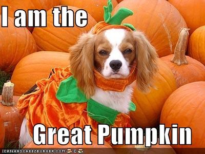 I am the  Great Pumpkin