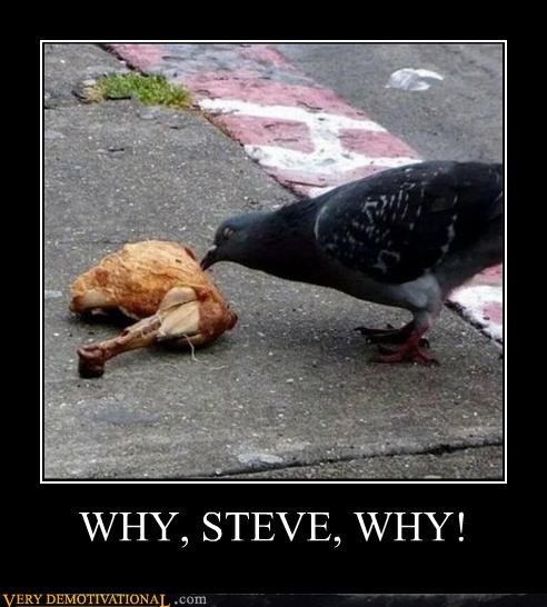 WHY, STEVE, WHY!