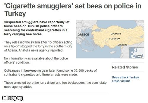 Probably Bad News: Not The Bees!
