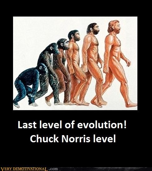 LAST LEVEL OF EVOLUTION