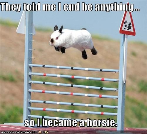 They told me I cud be anything...