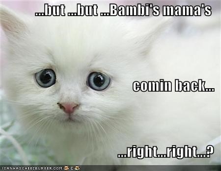 ...but ...but ...Bambi's mama's comin back... ...right...right...?