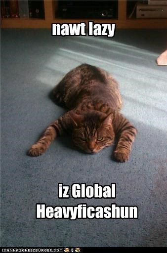 nawt lazy