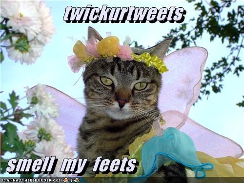 twickurtweets   smell  my  feets