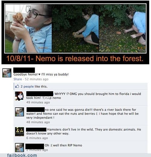 RIP Nemo