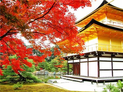 Destination of the Week: Japan