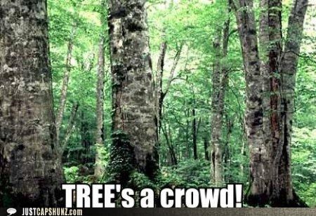 That's the Downside to Having Treeplets