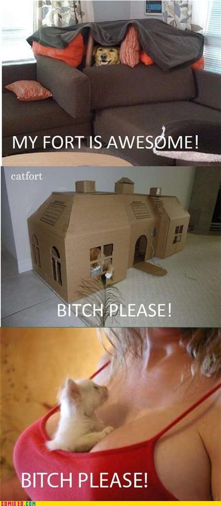Sistah Has a Bouncy Fort, Sistah