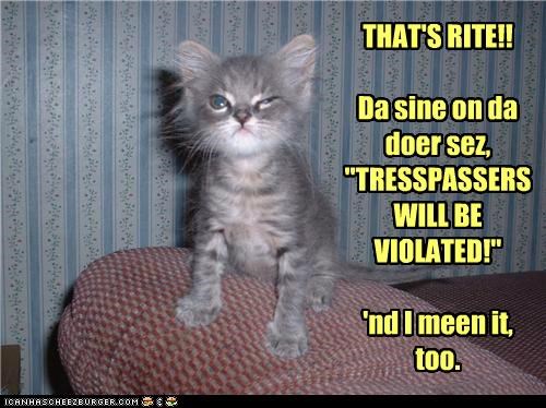 Don't mess wif da kitteh.