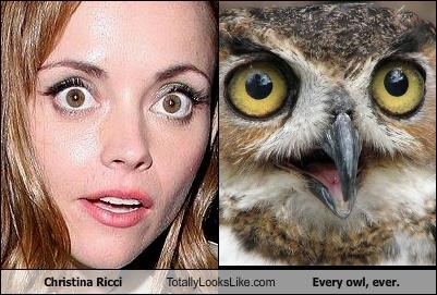 Christina Ricci Totally Looks Like Every owl, ever.