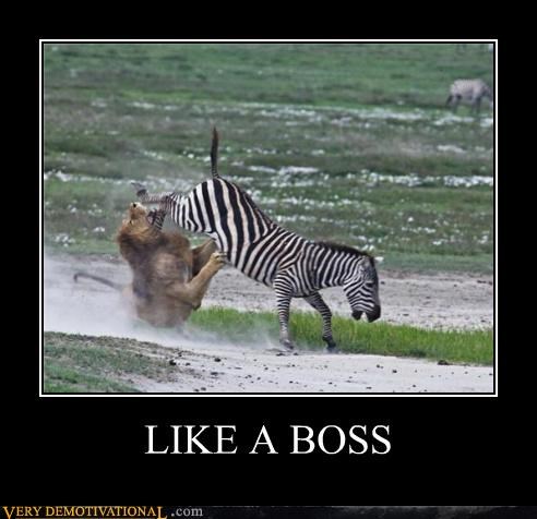 LIKE A BOSS, Sistah