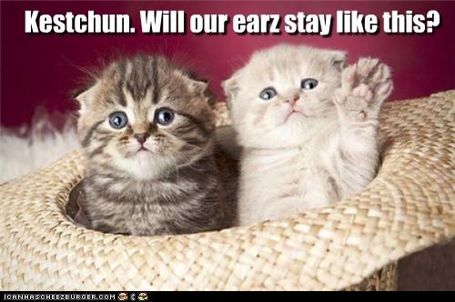 Kestchun. Will our earz stay like this?