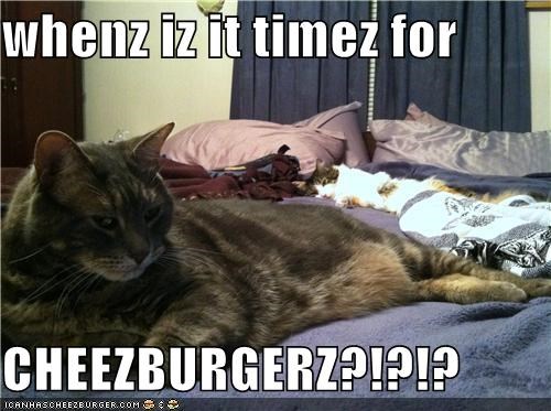 whenz iz it timez for  CHEEZBURGERZ?!?!?