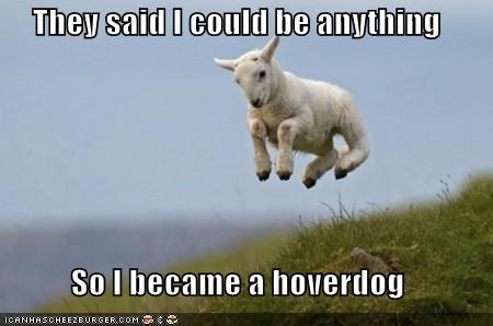 They said I could be anything  So I became a hoverdog