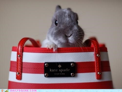 Acting Like Animals: Hop Couture