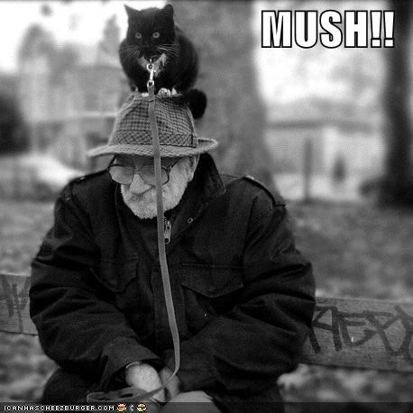 MUSH!!