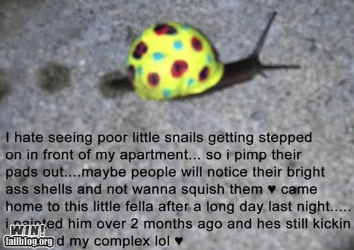 Snail Safety WIN