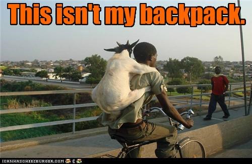 This isn't my backpack.