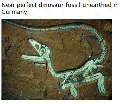 Completely Relevant News: Dinosaurs!