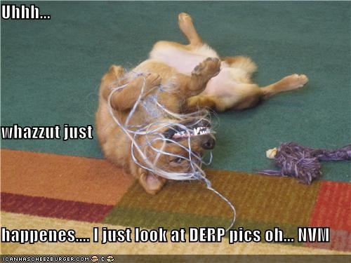 Uhhh... whazzut just happenes.... I just look at DERP pics oh... NVM