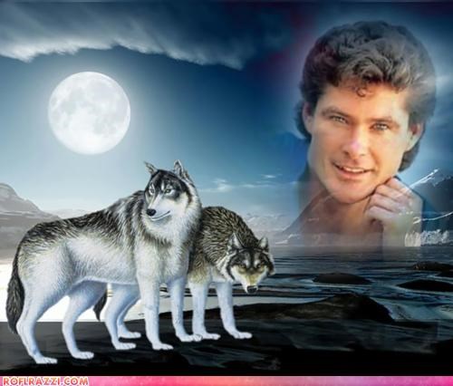 David Hasselhoff Is Magic