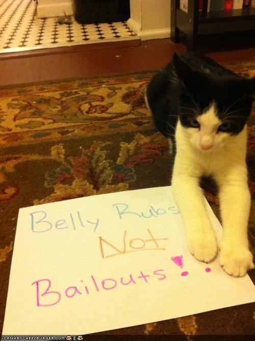 Occupy LOL Street: We Are the 99 Purrcent!