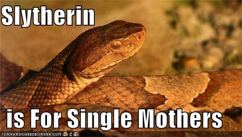 Slytherin  is For Single Mothers