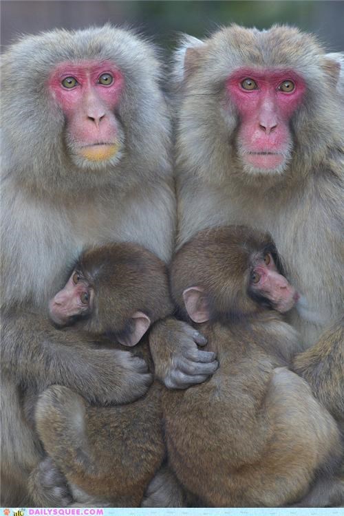 No Squee is a Mirror