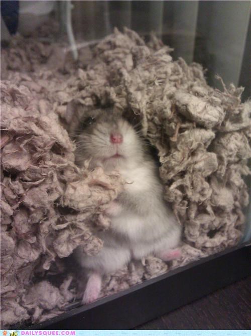 Fatty