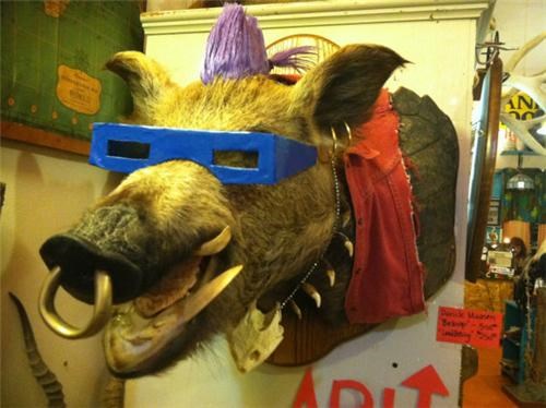 Taxidermied Ninja Turtles Villain of the Day
