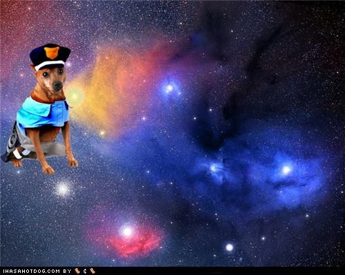 DOGS + COSTUMES + SPACE = AWESOME