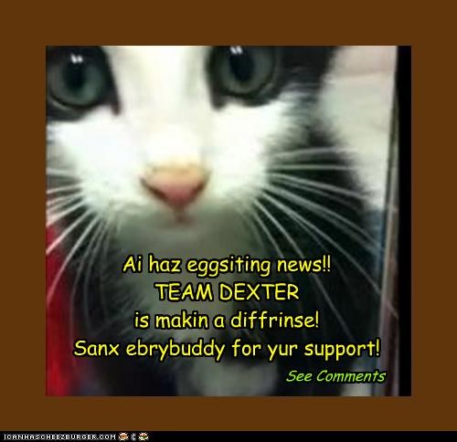 Ai haz eggsiting news!! 
TEAM DEXTER 
is makin a diffrinse! 
Sanx ebrybuddy for yur support!