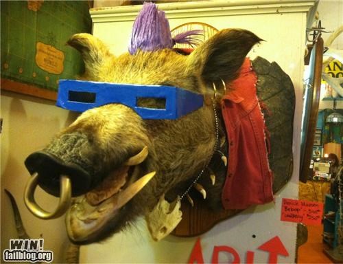 Bebop Taxidermy WIN