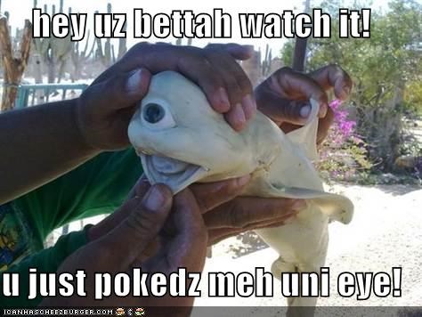 hey uz bettah watch it!  u just pokedz meh uni eye!