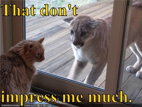 That don't  impress me much.