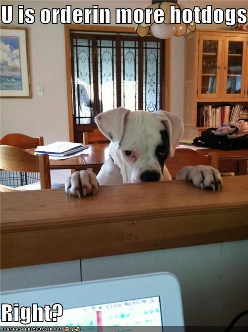 U is orderin more hotdogs  Right?