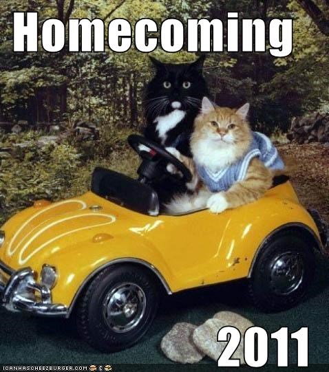 Homecoming
