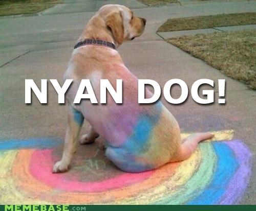 Nyan Goggie!