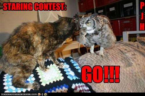 STARING CONTEST: