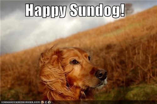 Happy Sundog!