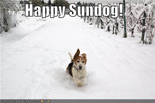 Happy Sundog!