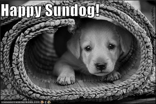Happy Sundog!