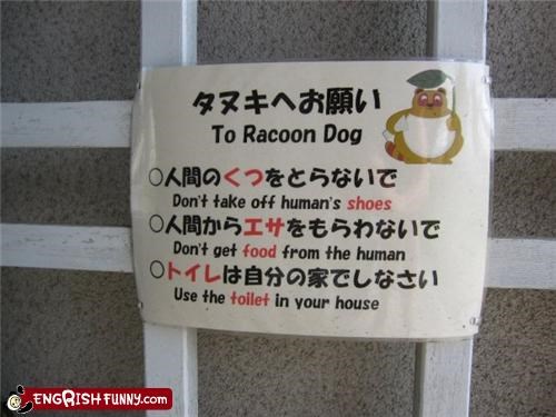 Instructions for Raccoon Dogs Everywhere