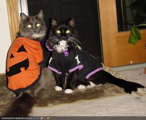 Meowloween Kittehs of teh Day: We Iz Reddy 4 Trik-or-Treet Nao!