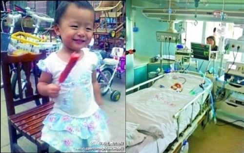 RIP: Yueyue, at 2