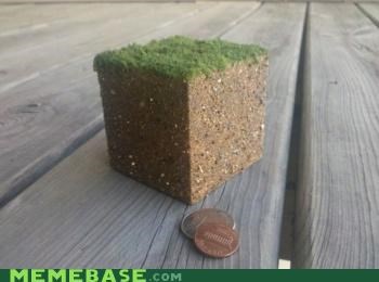 Minecraft IRL