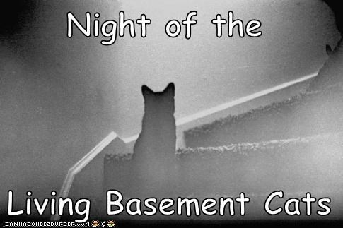 Night of the   Living Basement Cats